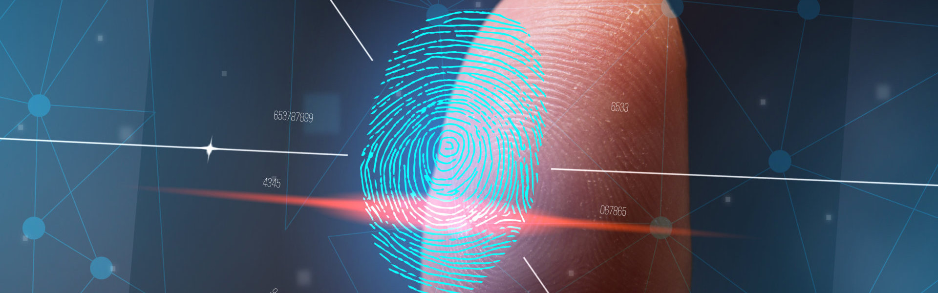 An image of a fingerprint